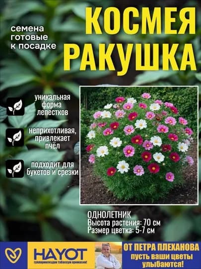 Семена космеи от Петра Плеханова: Сенсация, Ракушка, Дварф микс, Белая, Красная