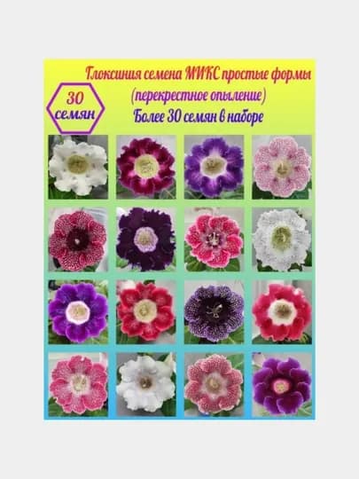 Семена домашнего цветка глоксинии, в разных цветах, смешанные, содержат 30 семян