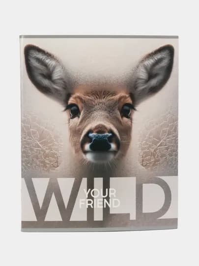 Тетрадь 48 листов, А5, клетка BG "Wild"