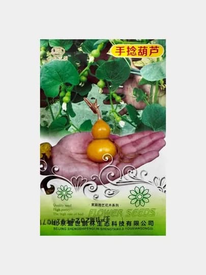 Семена китайская мини тыква игрушка для декора, Китай