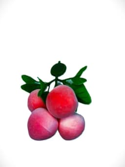 Декоративные фрукты для холодильников, магнитные — AVSTORE-MEVALAR-РОЗОВ