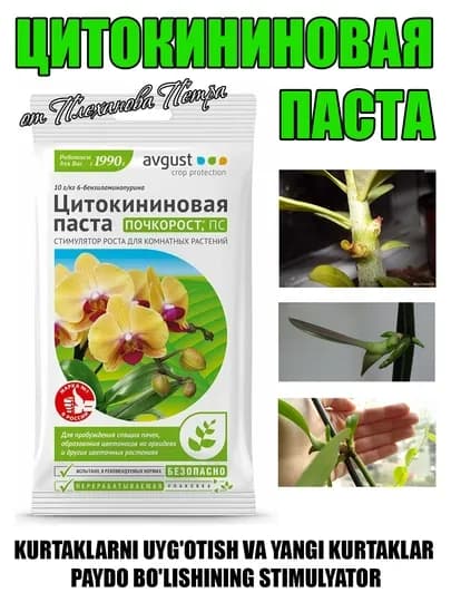 Цитокининовая паста AUG - стимулятор пробуждения спящих почек и образования новых побегов
