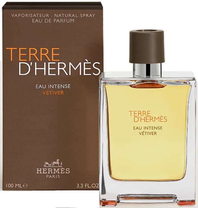 Мужская Парфюмерная вода Hermes Terre d'Hermes Eau Intense Vetiver, 100 мл