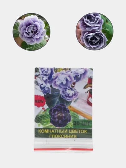 Семена глоксинии, комнатный цветок